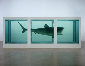 Damien Hirst's "The Physical Impossibility of Death in the Mind of Someone Living"